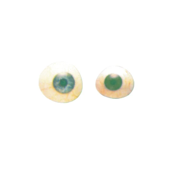 Artificial Eyes Assorted Sizes Box Of 50 – Jyoti Surgicals